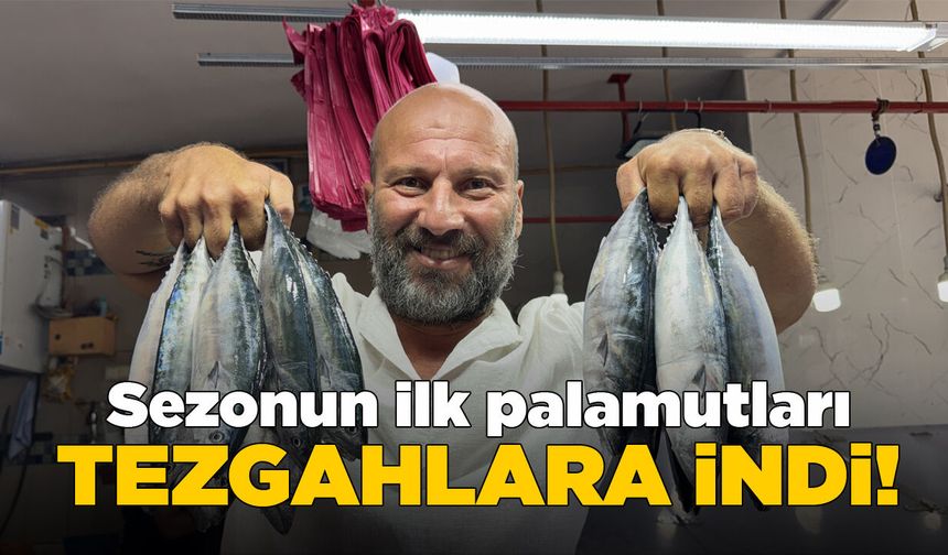 Sinop'ta sezonun ilk palamutları tezgahlarda
