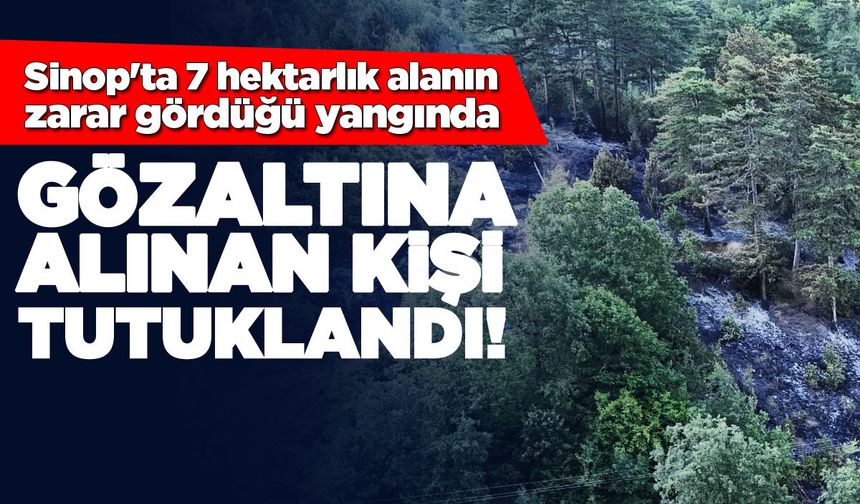 Sinop'ta orman yangınına neden olan kişi tutuklandı