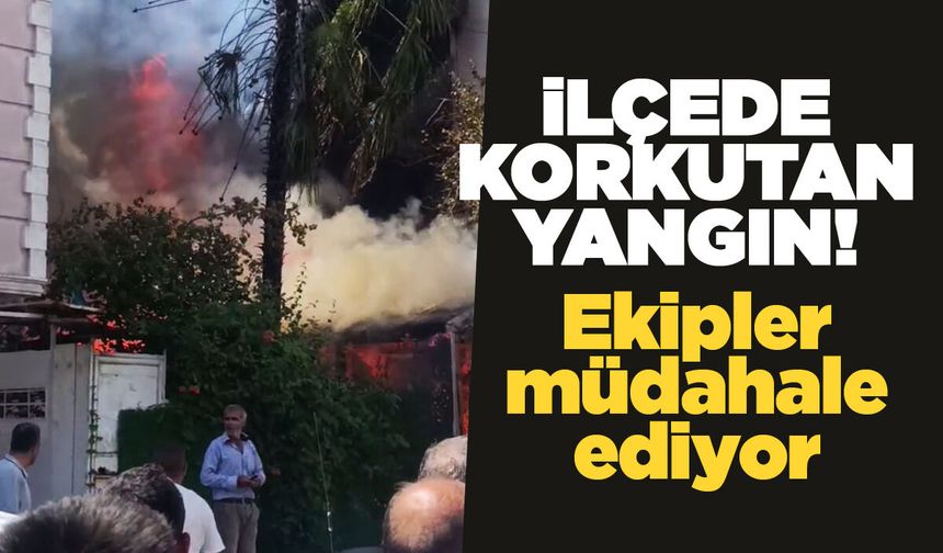 Korkutan yangın: İtfaiye ekipleri seferber oldu