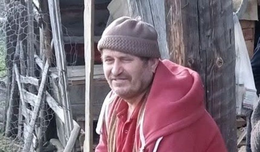Komşu ilden acı haber: Arı sokan kişi öldü!