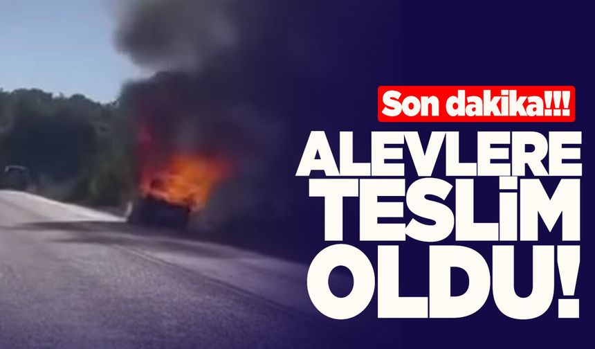 Sinop-Ayancık yolunda otomobil alevlere teslim oldu