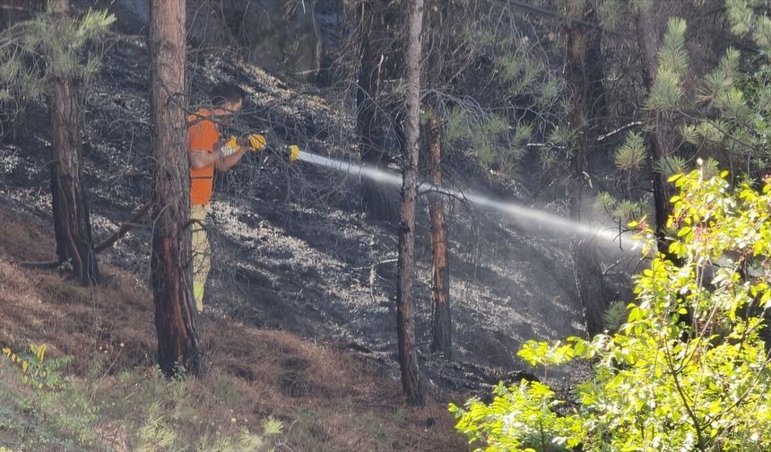Ormanlık alanda çıkan yangın söndürüldü