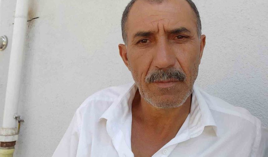 Arı sokması ardından hayatını kaybetti