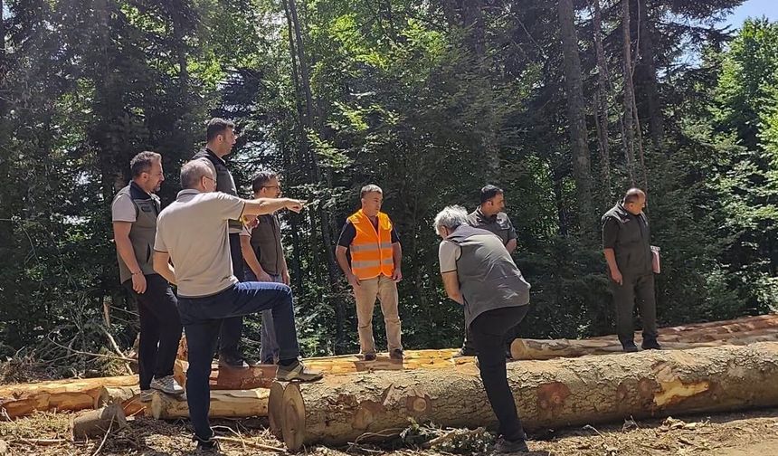 Bolu'da ormancılık faaliyetlerine denetim