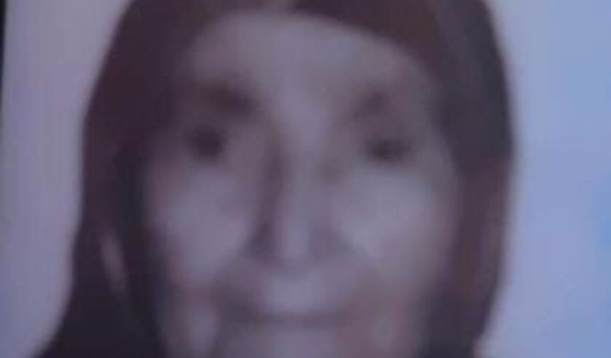 Kayıp Alzheimer hastası kadın bulundu