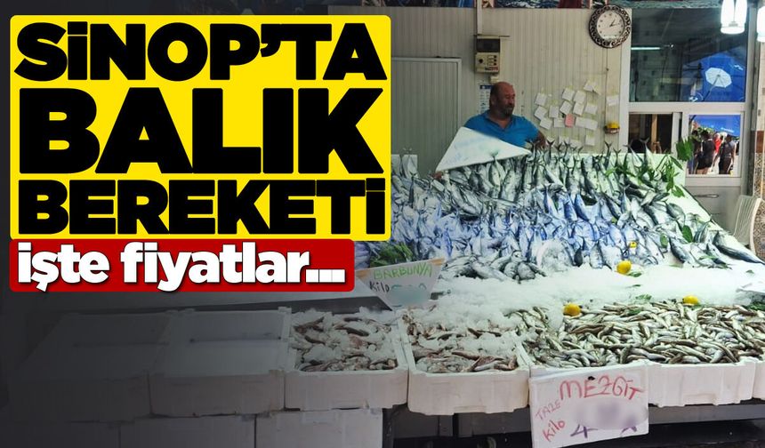 Sinop’taki tezgahlarda balık bolluğu! İşte fiyatlar…