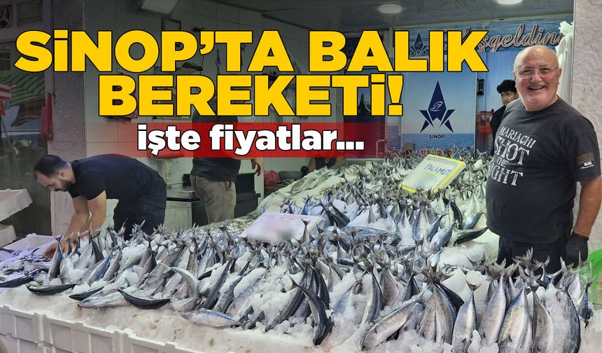 Hamsi ve palamut tezgahlarda