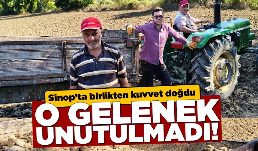 Sinop’ta birlikten kuvvet doğdu