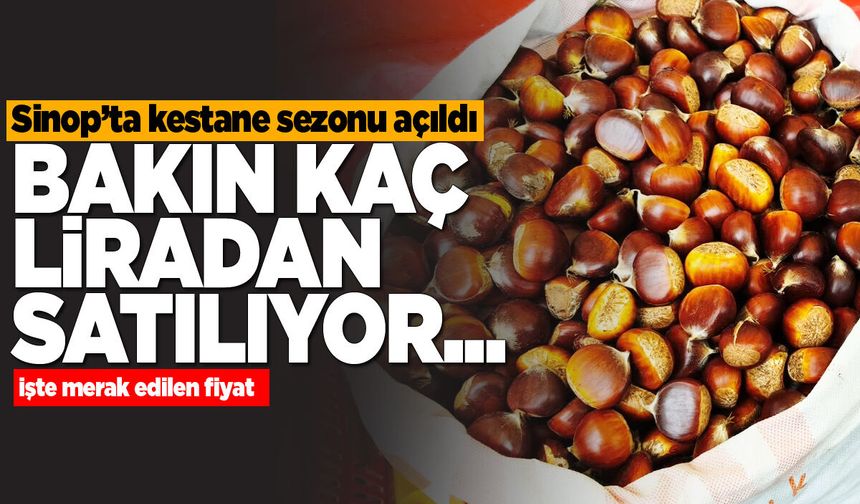 Sinop’ta sonbaharın vazgeçilmezi tezgaha indi