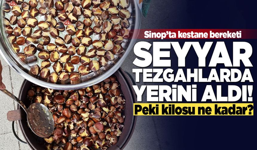 Sinop’ta kestane bereketi
