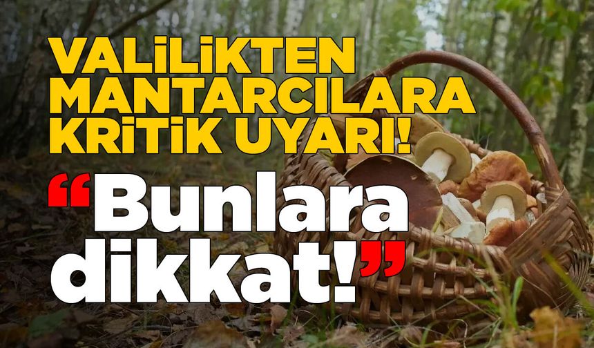 Sinop Valiliği mantar toplayanları uyardı!