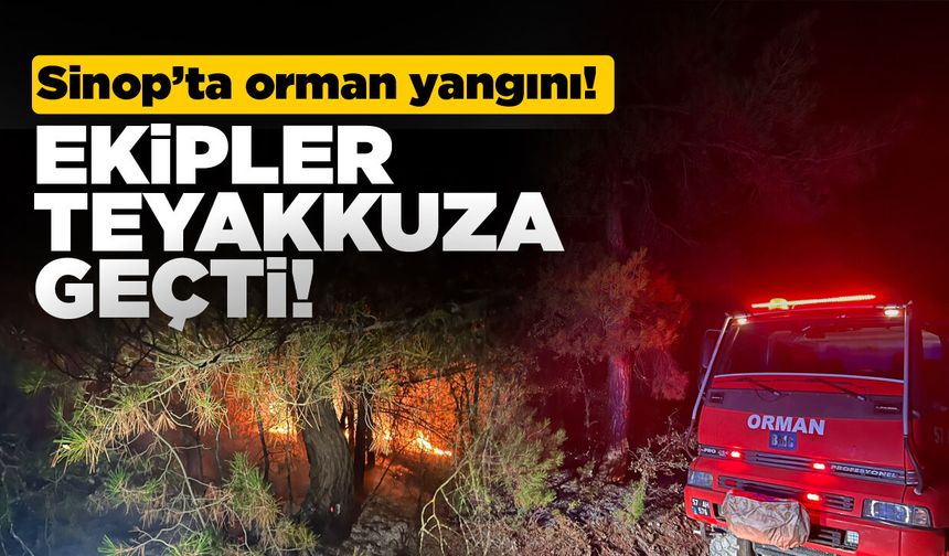 Sinop'ta ormanlık alanda yangın çıktı