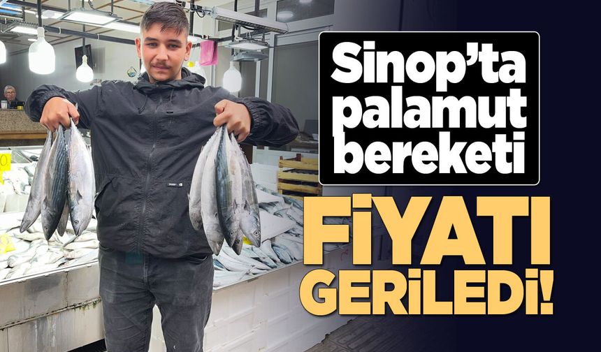 Sinop'ta palamut fiyatı düştü!