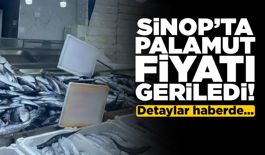 Sinop’ta vatandaş palamut fiyatından memnun!