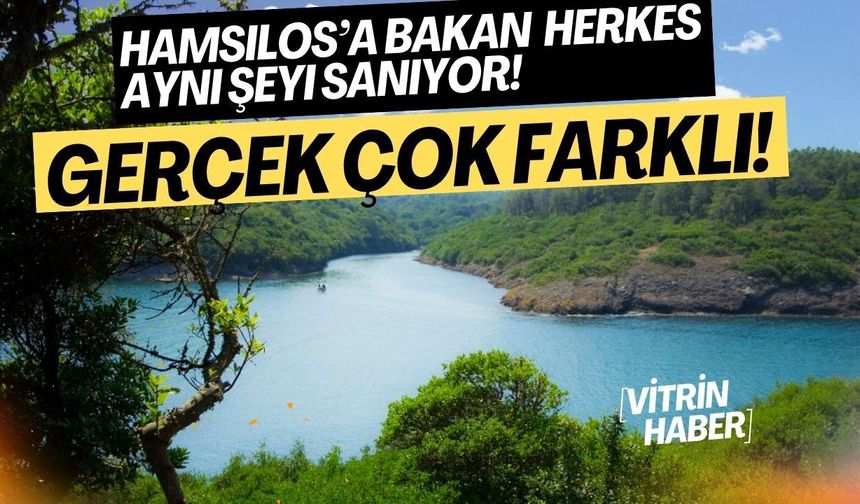 Bu Görüntü Norveç’ten Değil, Sinop’tan! Ama Bir Ayrıntı Var…