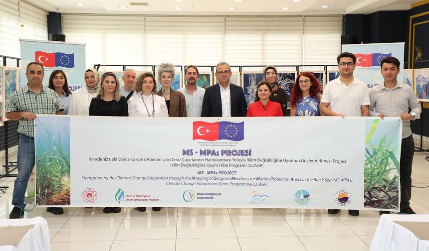 Sinop'ta deniz çayırları iklim değişikliğine dirençli hale getiriliyor