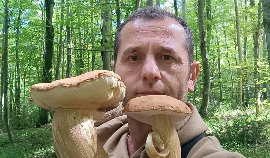Sinop'ta dev mantar görenleri şaşırttı!