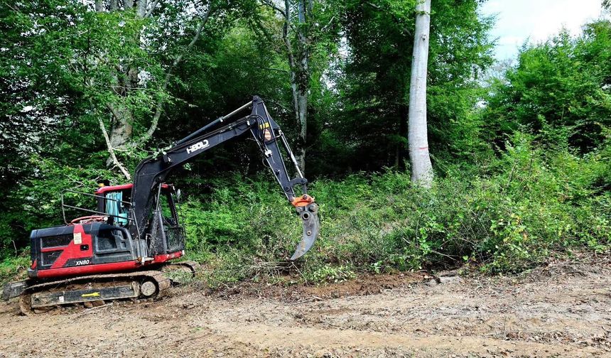 Sinop’ta ormanların geleceği için mesai