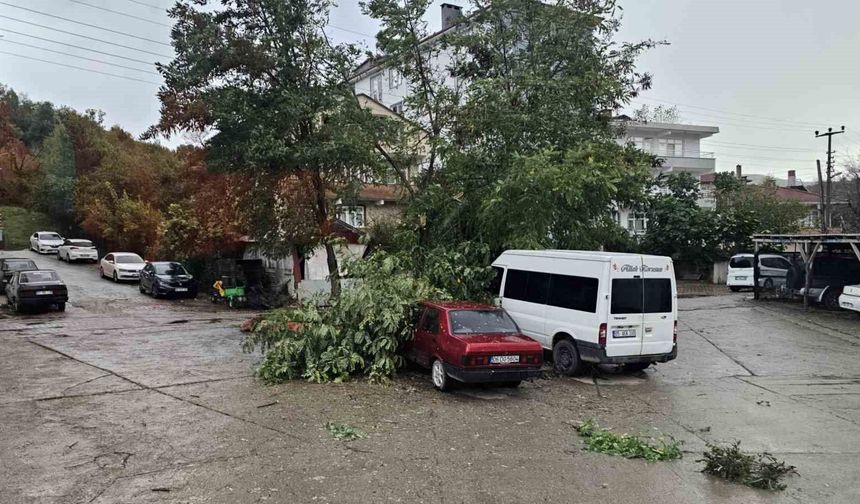 Fırtına çatıları uçurdu, ağaçları devirdi