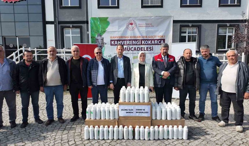 Kahverengi kokarcaya karşı seferberlik başlatıldı
