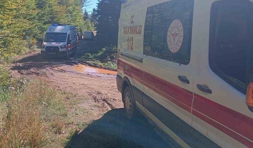 Mantar toplamaya giden aile kaza yaptı