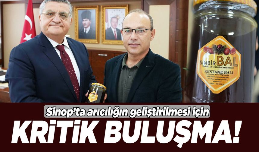Sinop’ta arıcılığın geliştirilmesi için kritik görüşme