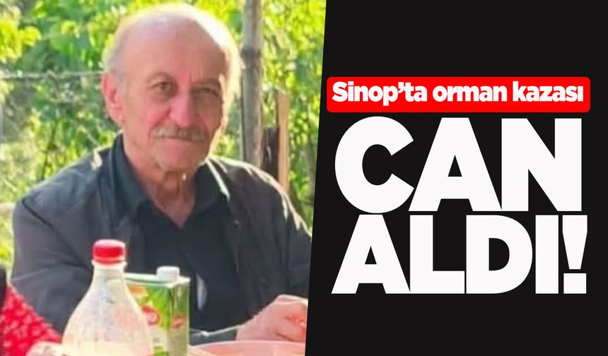 Sinop'ta orman kazası can aldı