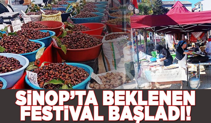 Sinop'ta Kestane Festivali başladı