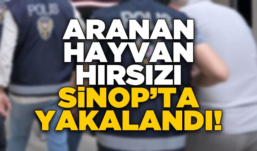Aranan hayvan hırsızı Sinop’ta yakalandı