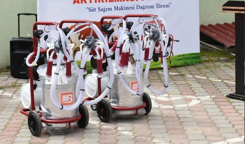 Türkeli'de süt sağım makinesi desteği başvuruları başlıyor
