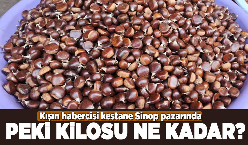 Sinop kestanesi pazar tezgahlarına indi