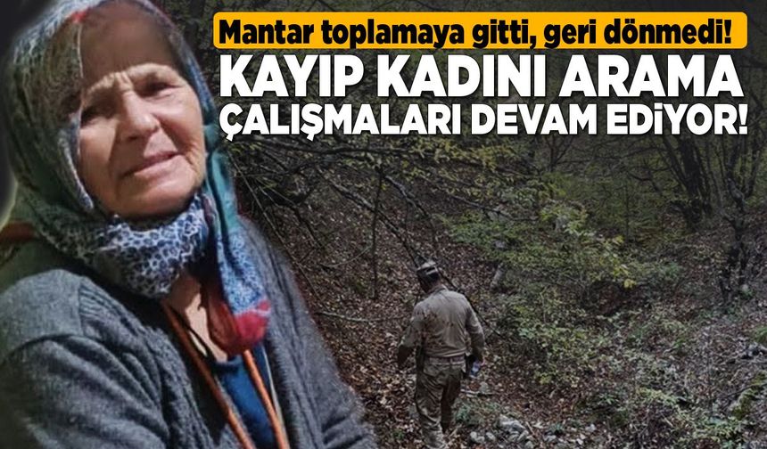 Sinop'ta kayıp kadını arama çalışmaları sürüyor