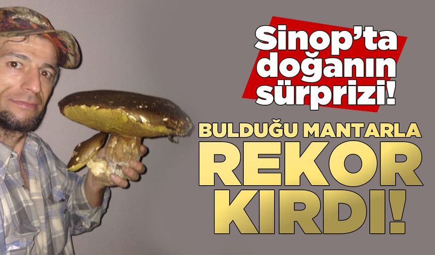 Sinoplu vatandaşın bulduğu dev mantar şaşırttı