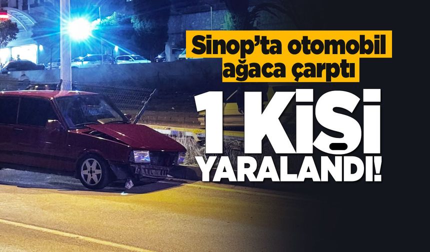 Otomobil refüjdeki ağaca çarptı: 1 yaralı