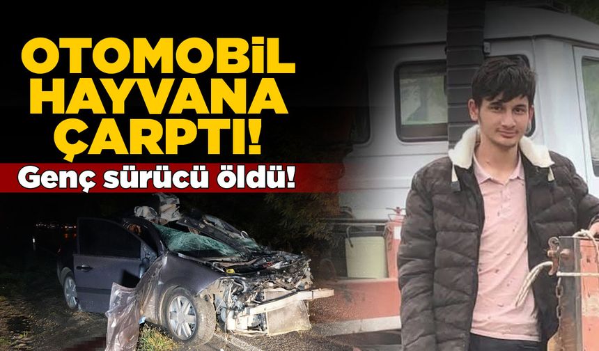 Otomobil büyükbaş hayvana çarptı, sürücü hayatını kaybetti