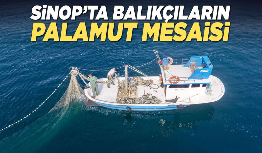 Sinop'ta balıkçıların palamut avı mesaisi