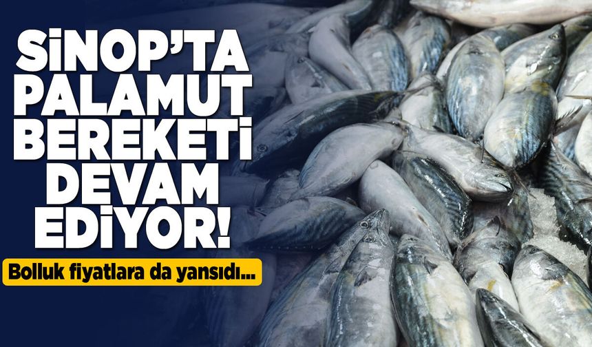 Palamut fiyatı gerilemeye devam ediyor