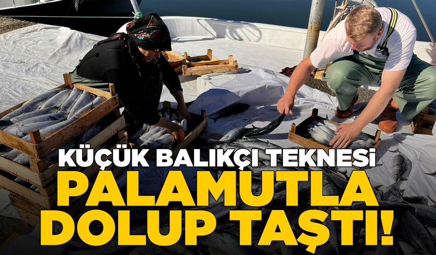 Küçük balıkçı teknesi palamutla dolup taştı