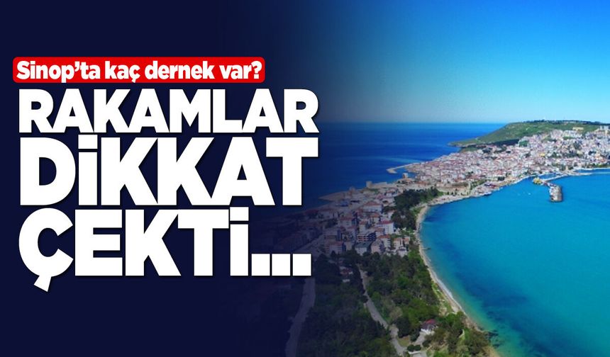 Sinop’ta kaç faal dernek var?