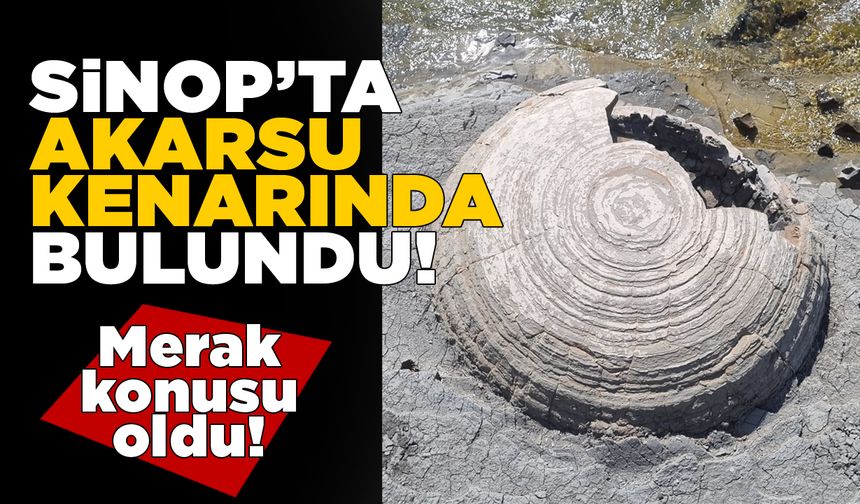 Sinop’ta bulunan küre şeklindeki oluşum merak konusu oldu