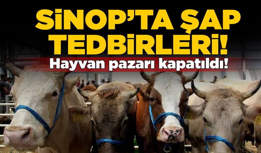 Kabalı köyü hayvan pazarında şap tedbiri