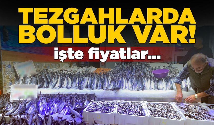 Sinop’ta balıkçılık sezonu bereketli geçiyor