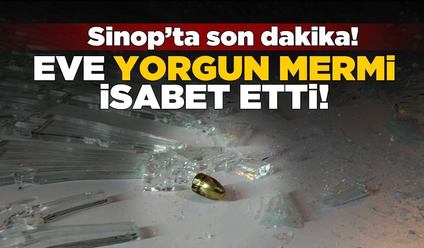 Sinop'ta bir eve yorgun mermi isabet etti