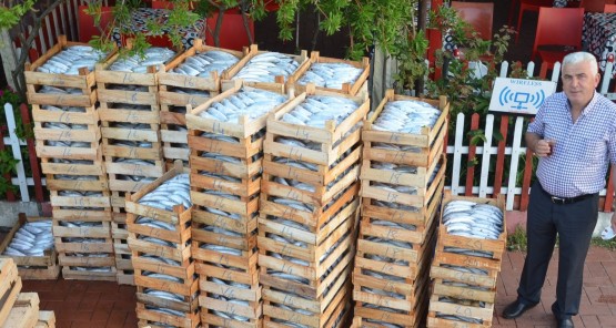 Tezgahlarda palamudun tanesi 12,5 liradan satışa sunuluyor.
