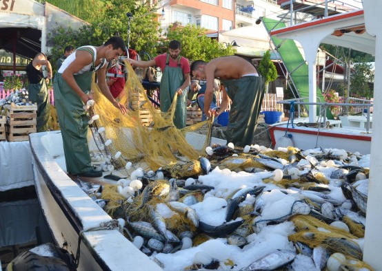 Karadeniz'de palamut bereketi