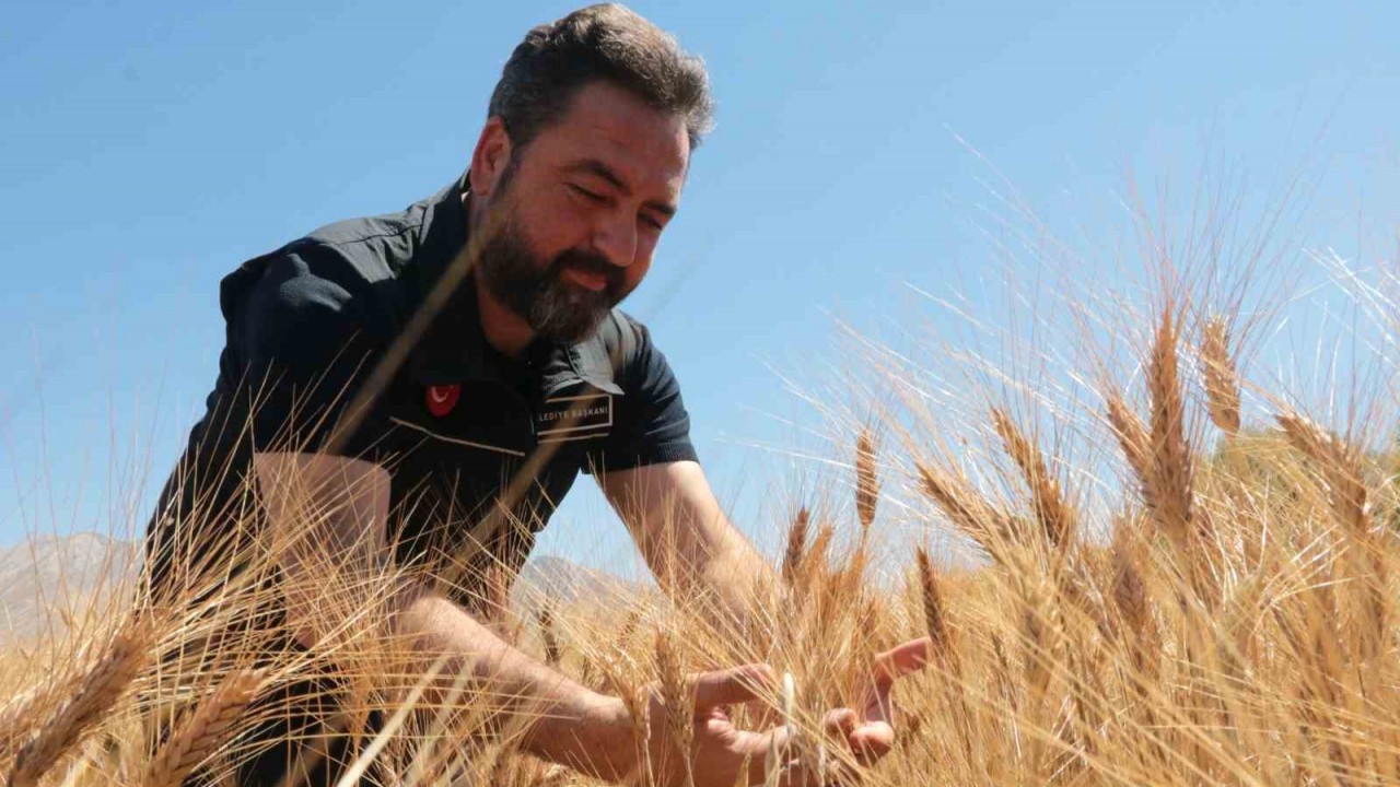 Elbistan Belediyesi halk ekmeği bedava verecek - Vitrin Haber - Sinop  Haberleri