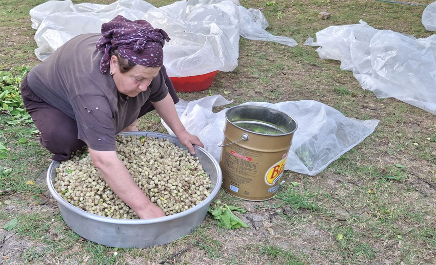 Doğal Dut Pekmezi