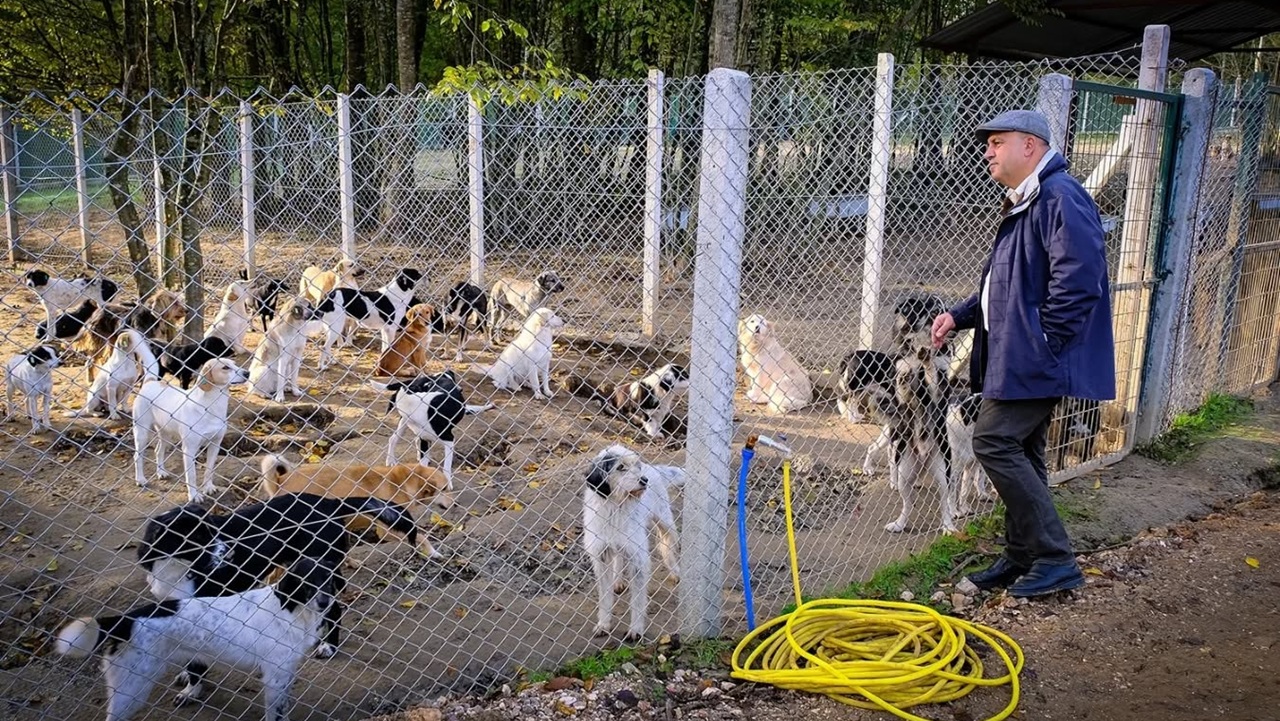 586688814 18541336090018606 127523014757408970 N