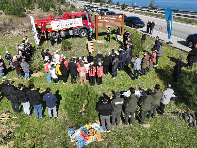 658143689 960816726478305 1766476347548107868 N