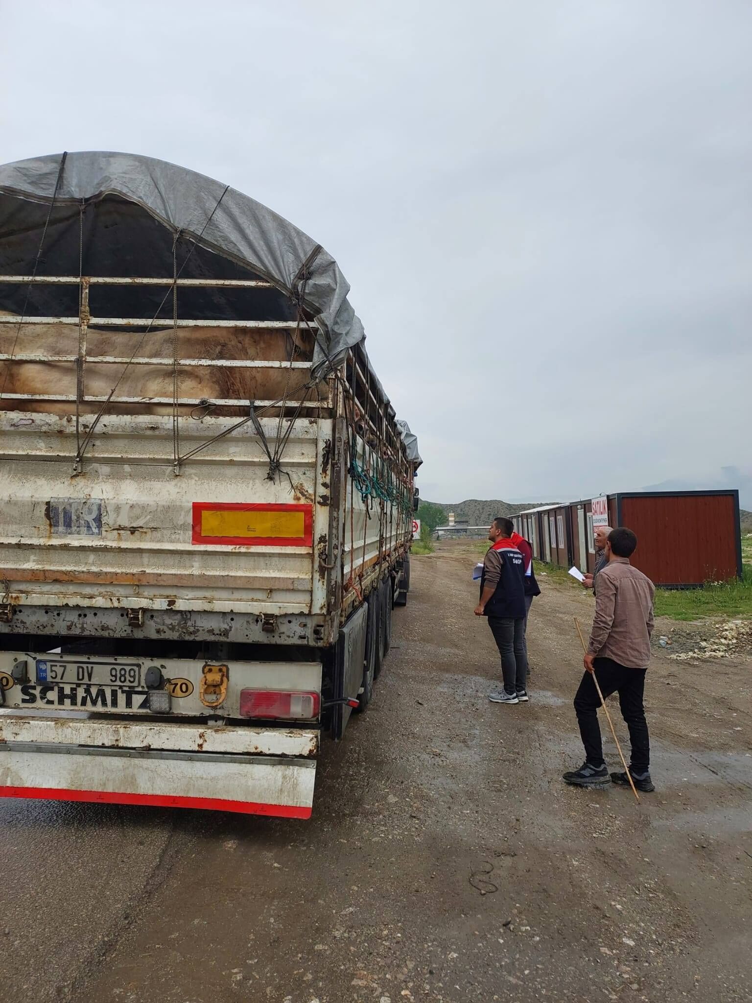 Hayvan Sağlığı ve Güvenliği